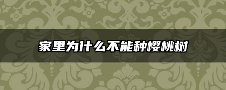 家里为什么不能种樱桃树