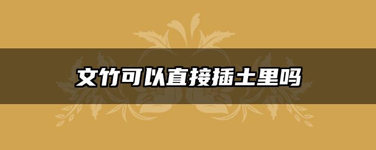文竹可以直接插土里吗