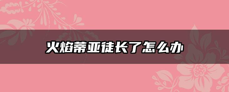 火焰蒂亚徒长了怎么办