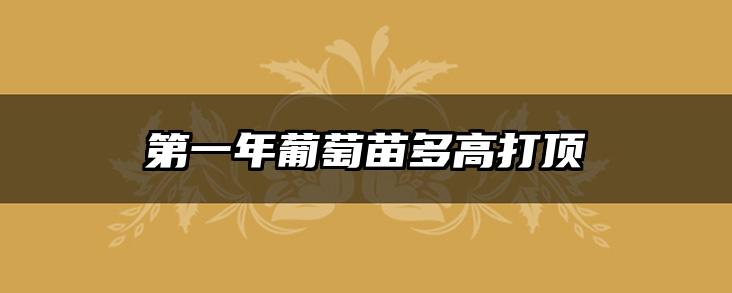 第一年葡萄苗多高打顶
