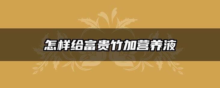 怎样给富贵竹加营养液
