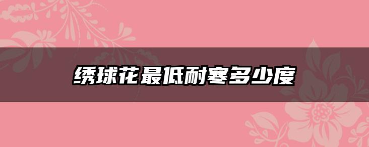 绣球花最低耐寒多少度