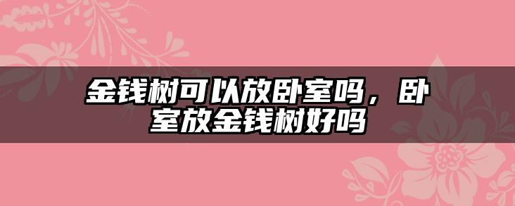 金钱树可以放卧室吗,卧室放金钱树好吗