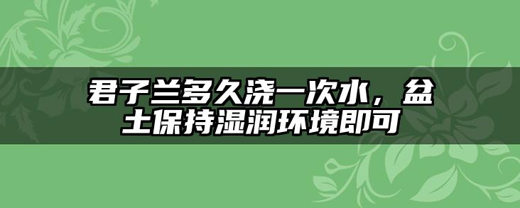 君子兰多久浇一次水，盆土保持湿润环境即可