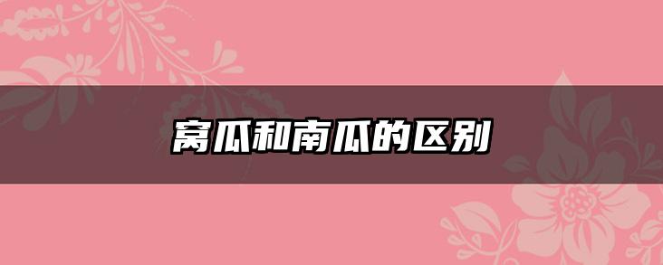 窝瓜和南瓜的区别