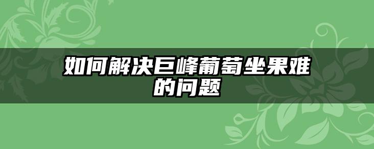 如何解决巨峰葡萄坐果难的问题