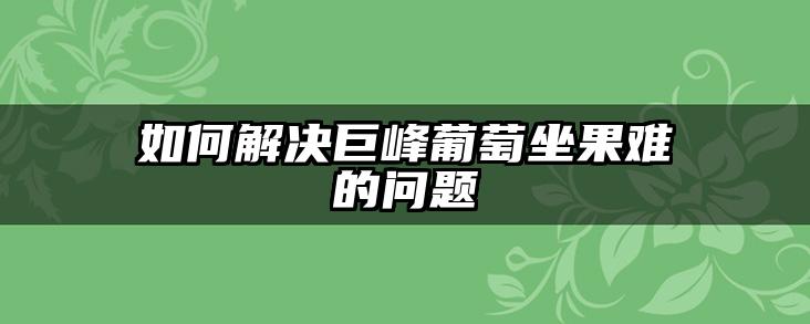 如何解决巨峰葡萄坐果难的问题