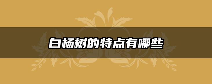 白杨树的特点有哪些