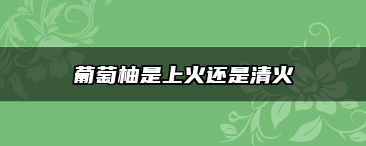 葡萄柚是上火还是清火