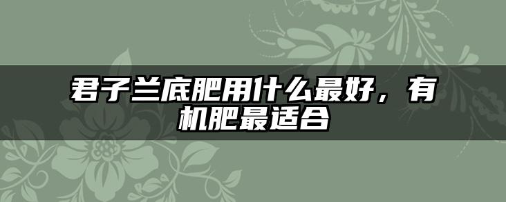 君子兰底肥用什么最好,有机肥最适合