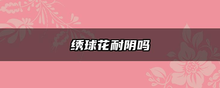 绣球花耐阴吗
