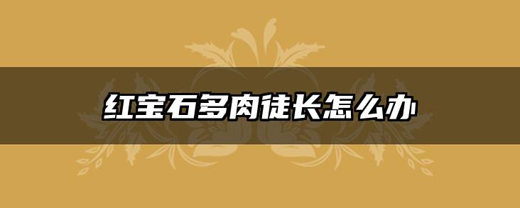 红宝石多肉徒长怎么办