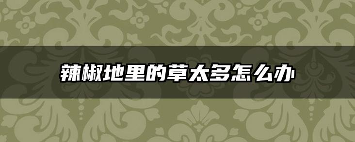 辣椒地里的草太多怎么办
