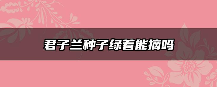 君子兰种子绿着能摘吗