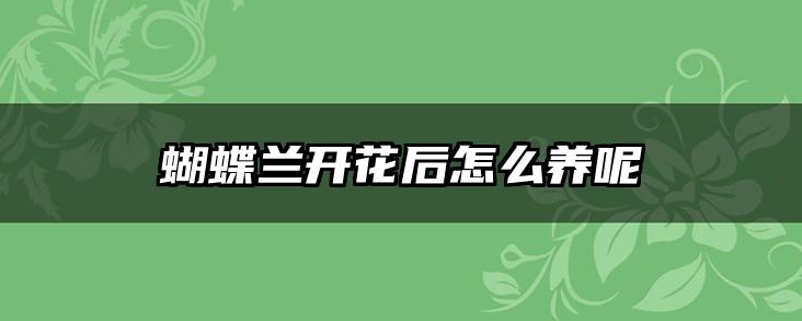 蝴蝶兰开花后怎么养呢