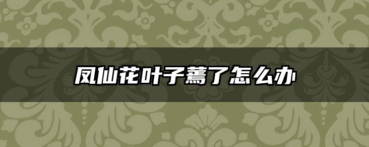 凤仙花叶子蔫了怎么办