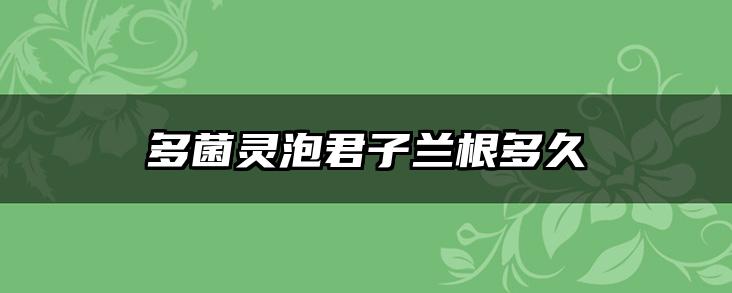多菌灵泡君子兰根多久