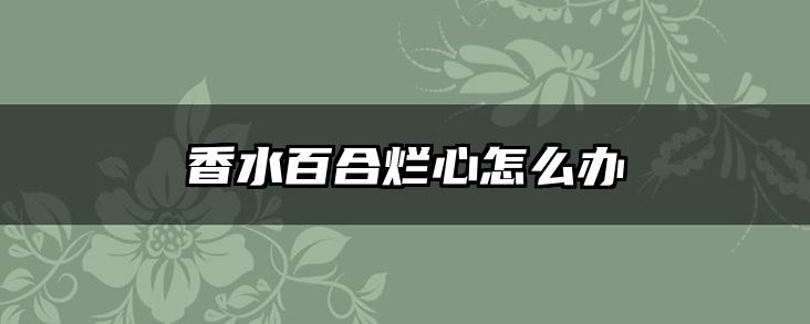 香水百合烂心怎么办
