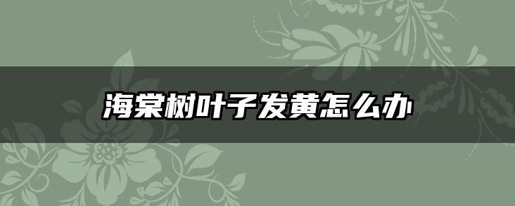 海棠树叶子发黄怎么办