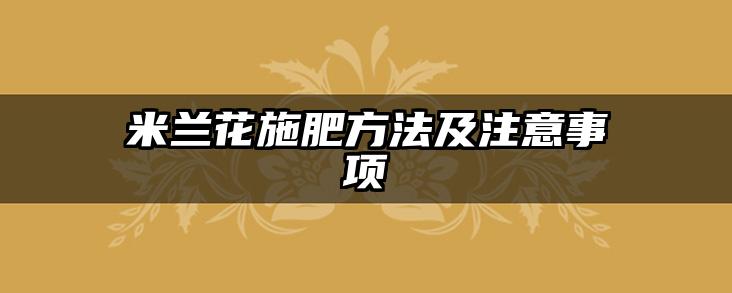 米兰花施肥方法及注意事项