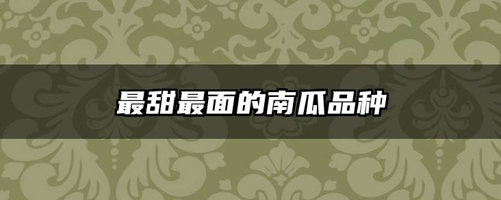 最甜最面的南瓜品种