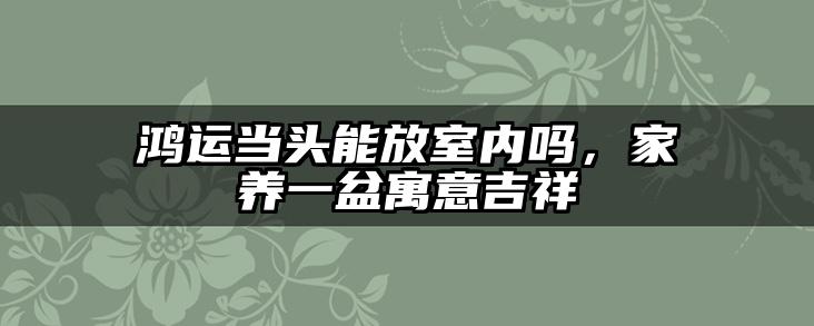 鸿运当头能放室内吗，家养一盆寓意吉祥