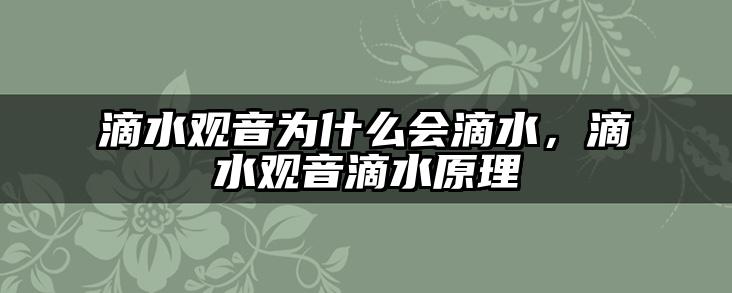 滴水观音为什么会滴水,滴水观音滴水原理