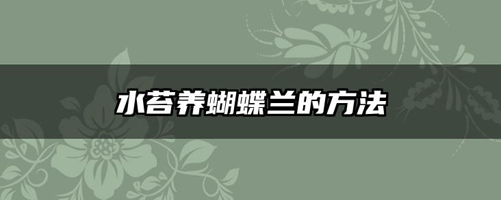 水苔养蝴蝶兰的方法