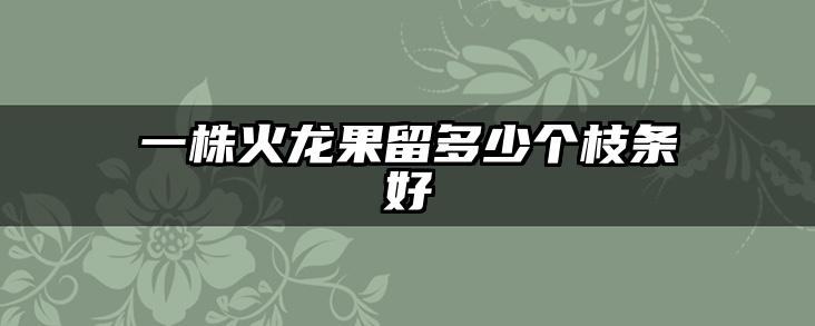 一株火龙果留多少个枝条好