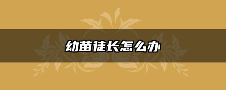 幼苗徒长怎么办