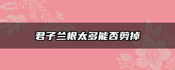 君子兰根太多能否剪掉