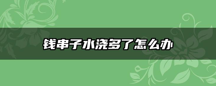 钱串子水浇多了怎么办