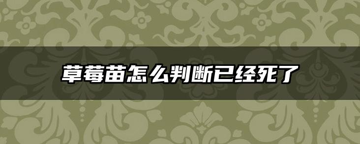 草莓苗怎么判断已经死了