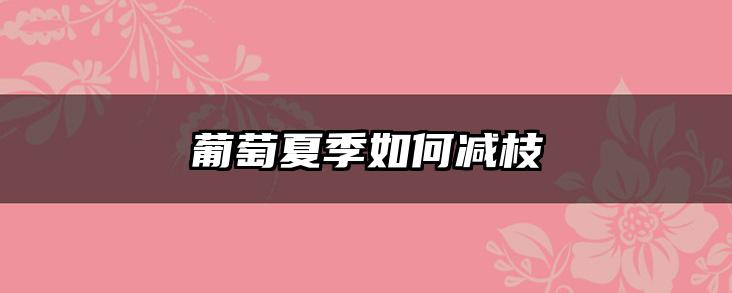 葡萄夏季如何减枝