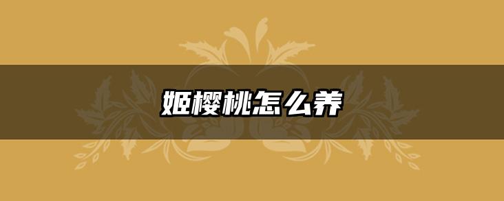 姬樱桃怎么养