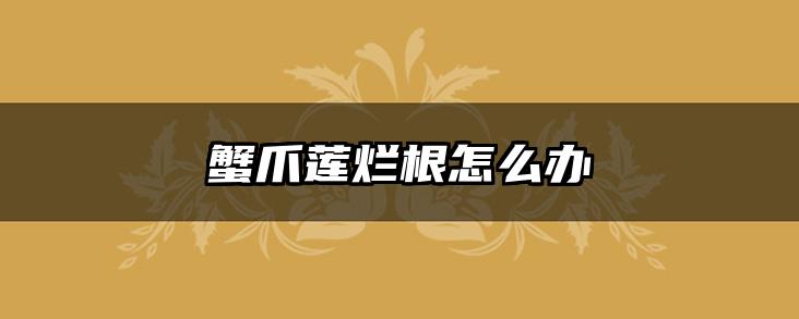 蟹爪莲烂根怎么办