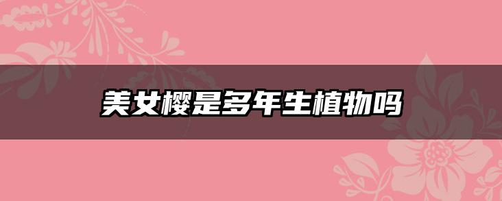 美女樱是多年生植物吗