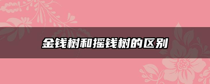 金钱树和摇钱树的区别