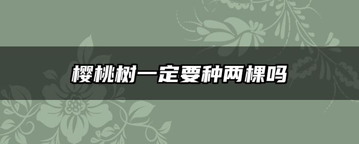 樱桃树一定要种两棵吗