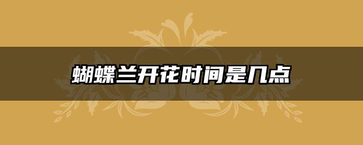蝴蝶兰开花时间是几点