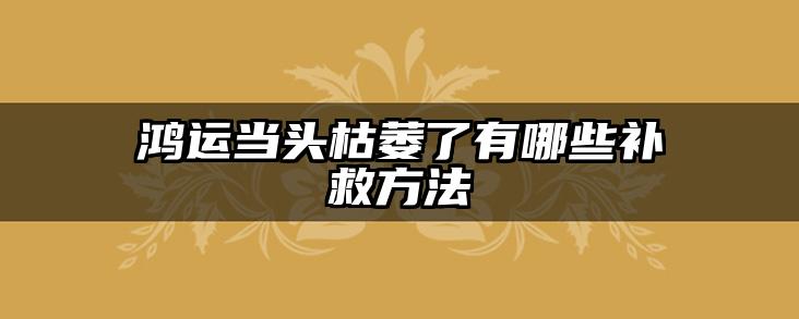 鸿运当头枯萎了有哪些补救方法