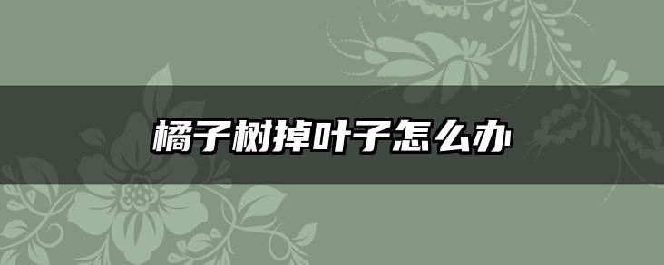 橘子树掉叶子怎么办