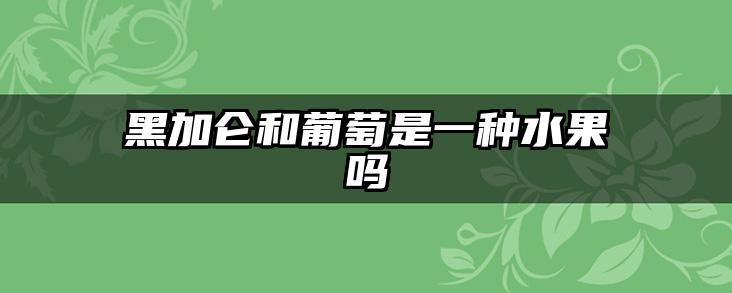 黑加仑和葡萄是一种水果吗