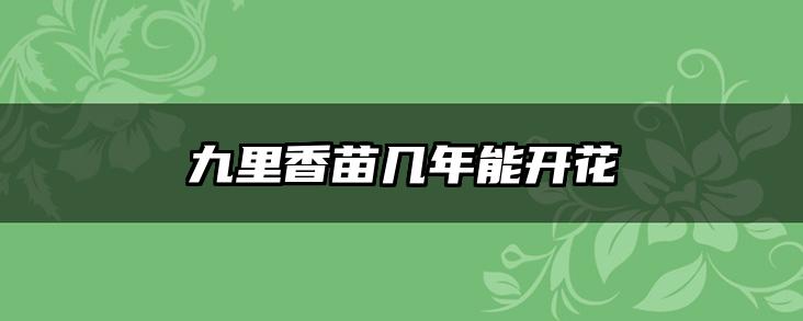 九里香苗几年能开花