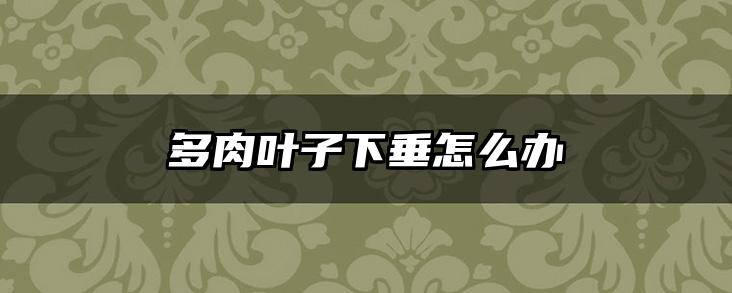 多肉叶子下垂怎么办