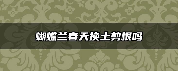 蝴蝶兰春天换土剪根吗
