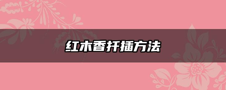 红木香扦插方法