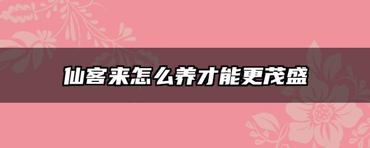 仙客来怎么养才能更茂盛