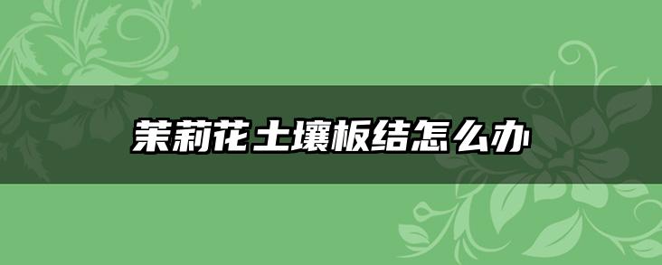 茉莉花土壤板结怎么办