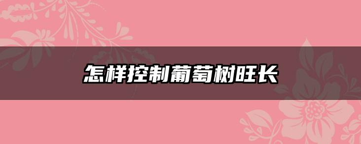 怎样控制葡萄树旺长